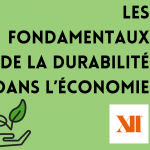 Une formation sur les fondamentaux du développement durable