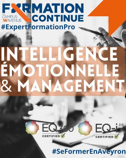 FORMATION CONTINUE – Intelligence émotionnelle et management : une boîte à outils enrichie pour les managers en Aveyron